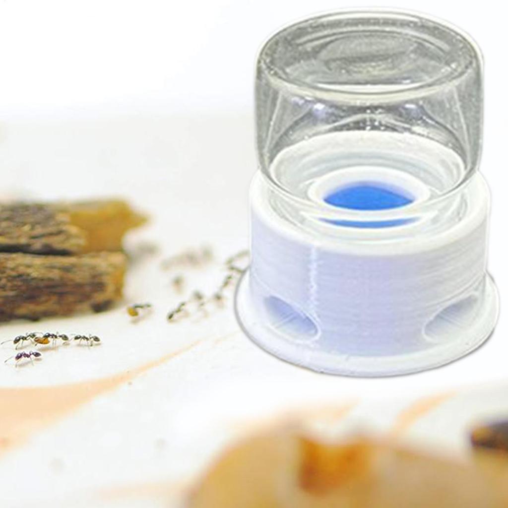 12ml Transparent Ant Water Feeder Anti Drowning Drinking Station for Bee Cricket Home Classroom Outdoor Bug Waterer