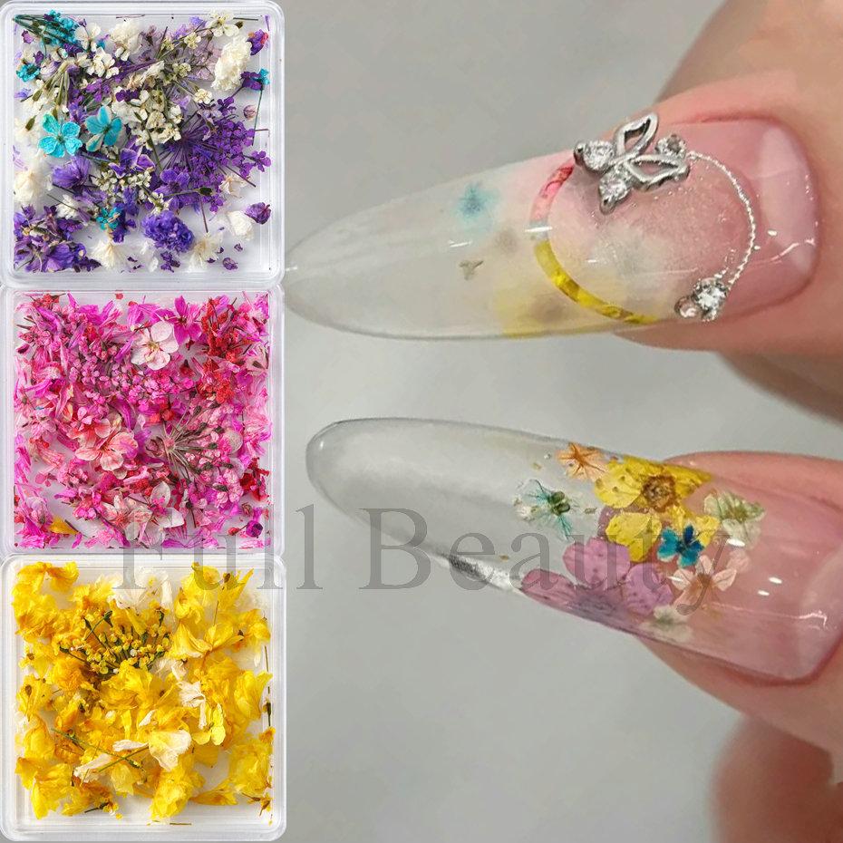 Nail Art Dried Flower, Japanese Monet Garden Color Scheme Petal Small Floral Mixed Nail Dried Flower