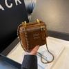 Frosted new chain miu French box bag niche texture women's small square bag personalized shoulder messenger bag