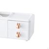 Cute Desk Organizer Makeup Brush Holder Multifunctional Home Decoration Storage Box Stationery Caddy