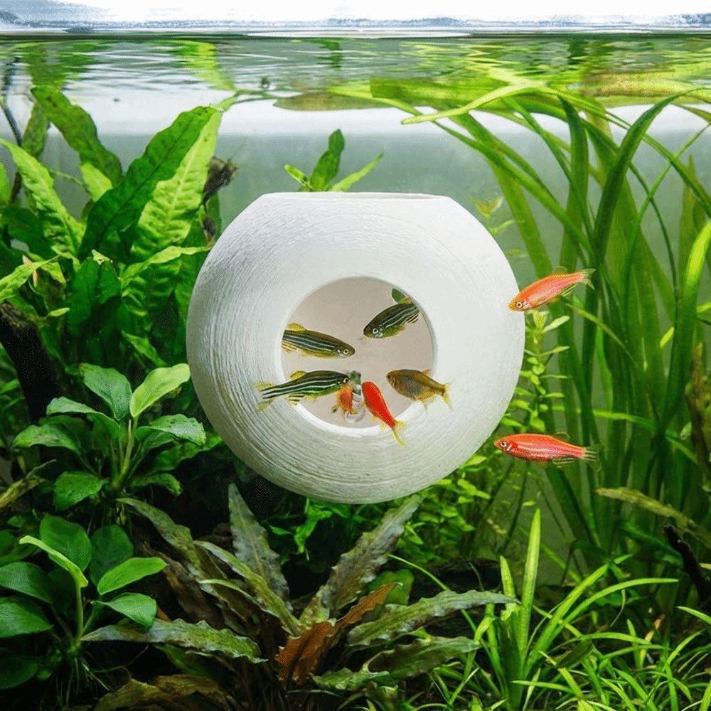 Suction Cup Fixed Fish Shrimp Hiding Cave Spherical Fish Tunnel Toy  Fish Shrimp Reptiles