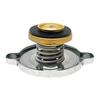 Radiator Filler Cap 57x20mm for MASSEY 3637301M1