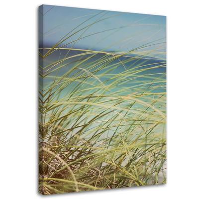 Canvas Print Beach Grass Dunes Sand