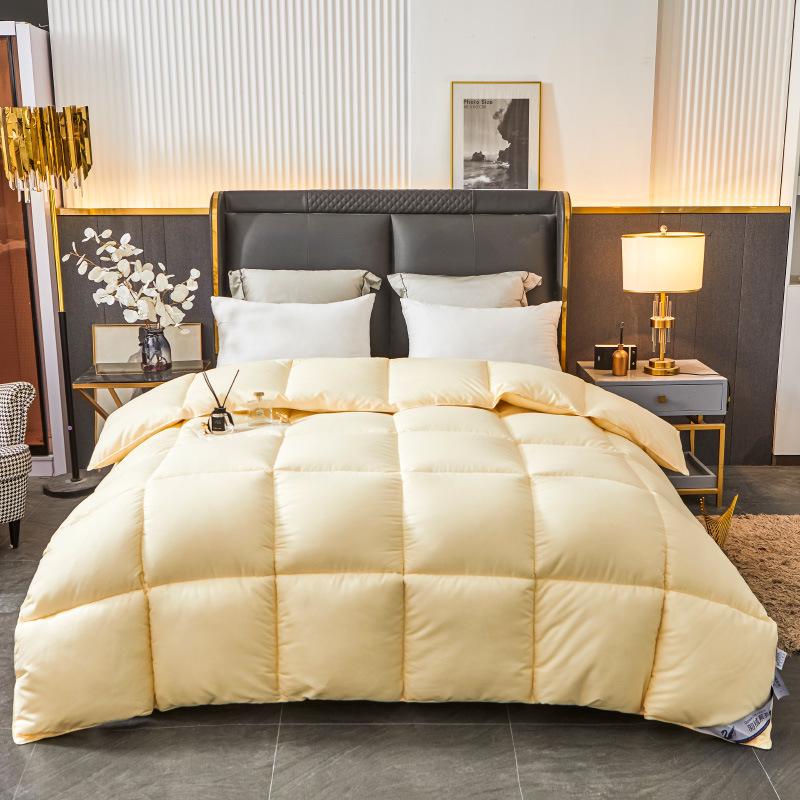 Luxury Pure Cotton Down Velvet Quilt – Thickened for Winter, Ideal for Five-Star Hotels, Perfect for Spring and Autumn