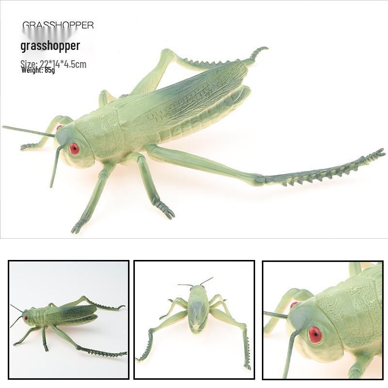 Large Insect Model Toy Set: Spider, Scorpion, Rhinoceros Beetle, Bee, Dragonfly