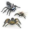 Intricately Plastic Designed Spider Models Including Dynamic Peacock And Striped Flies Available In Various Colors Ideal For Col