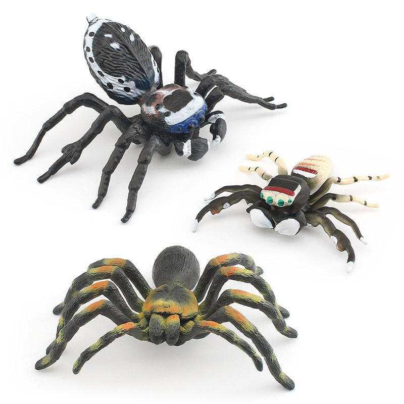 Intricately Plastic Designed Spider Models Including Dynamic Peacock And Striped Flies Available In Various Colors Ideal For Col