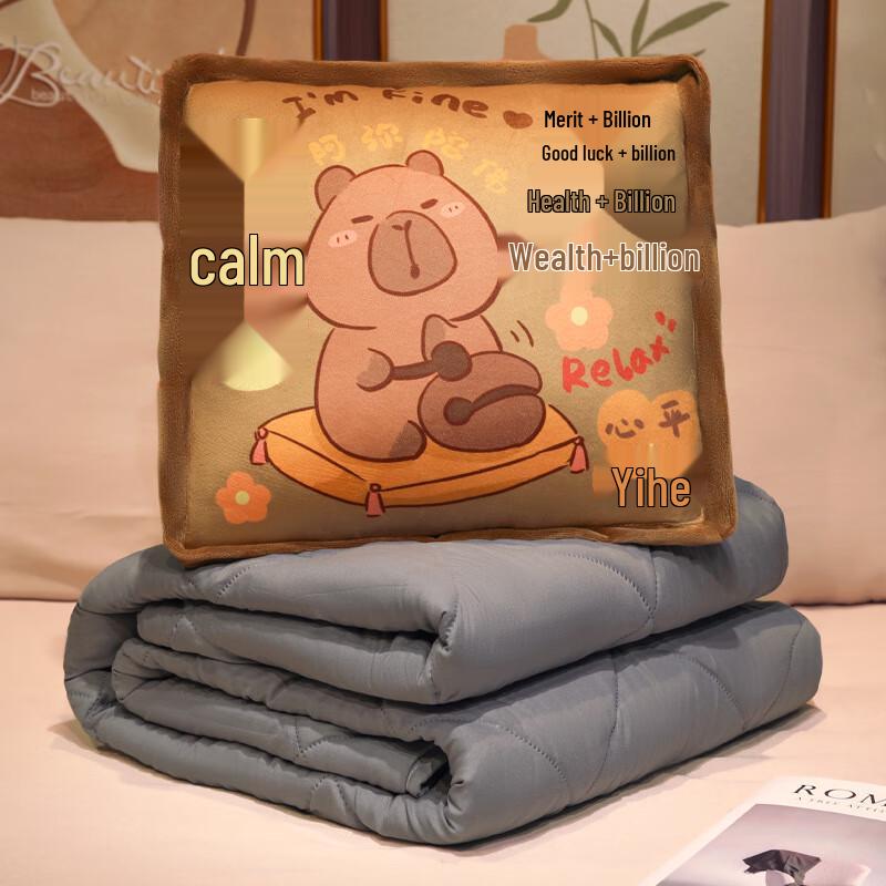 2-in-1 Convertible Pillow Blanket