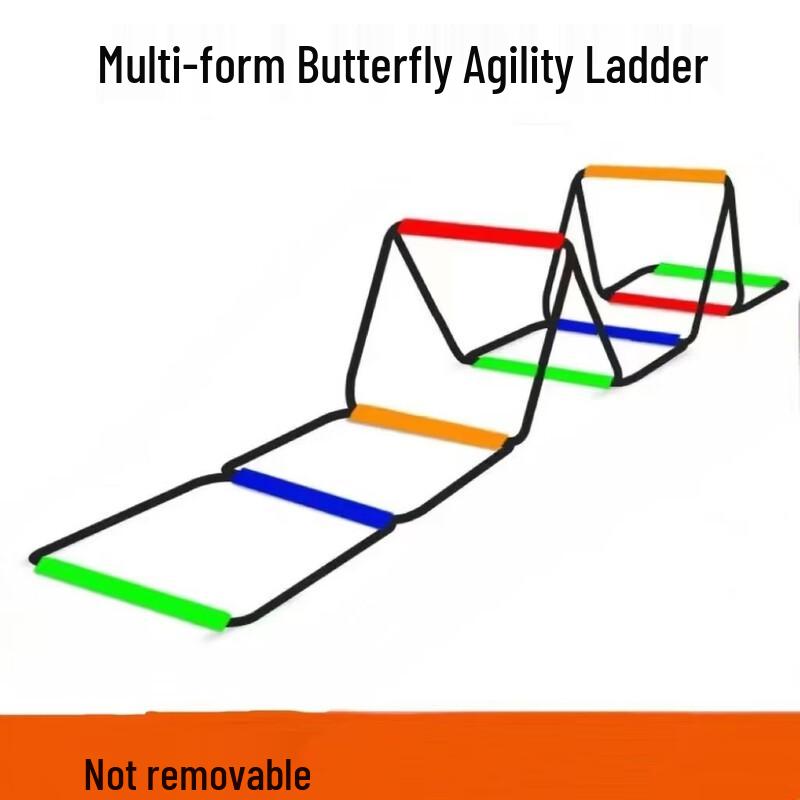 Kids Agility Training Ladder