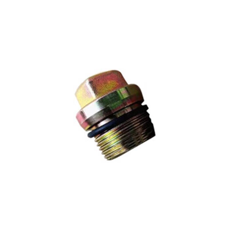 Benwang Oil Pan Drain Plug for Shaanqi SX2190