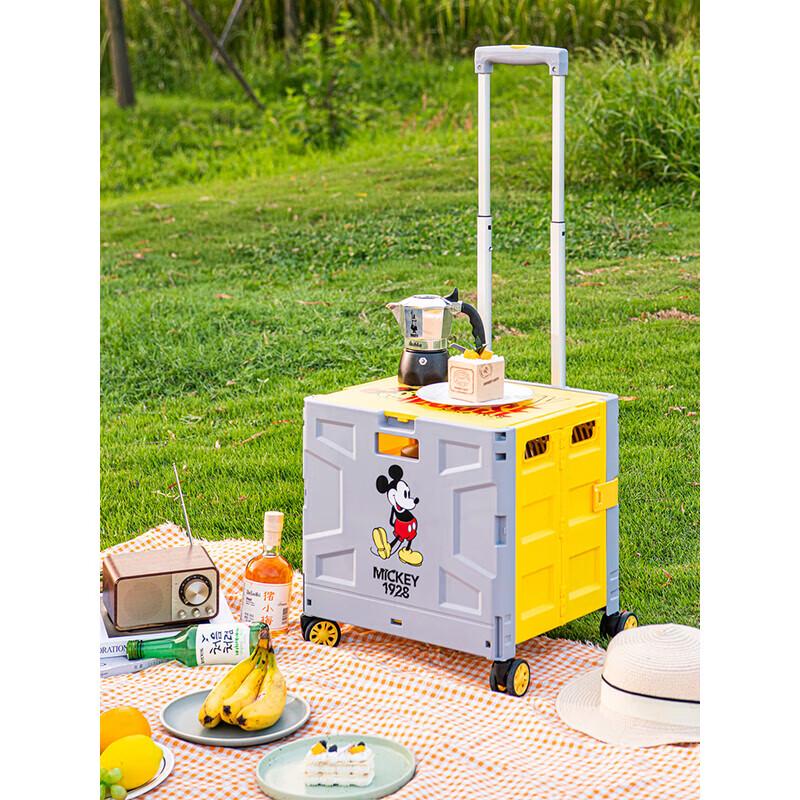Xiaomengge Disney Foldable Rolling Suitcase
