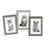 Set of 3 Kittens Tea Towels