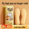 Bear DnDn Heated Insoles