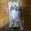Ichiban Kuji Jujutsu Kaisen Shimetsu Kaiyu Großer Acryl-Ständer Zenin Naoya Japan