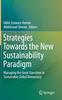 Książka Strategies Towards the New Sustainability Paradigm : Managing the Great Transition To Sustainable Global Democracy