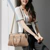 Handbag Shoulder Bag Messenger Commuter Bag