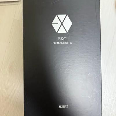 EXO Sehun 3D Real Figure