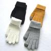 Adult Men and Women Winter Warm Plush Thickened Wool Gloves, Pineapple Pattern Jacquard