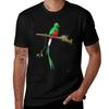Quetzal Bird Tshirt Outdoor Activity Sports Tshirt
