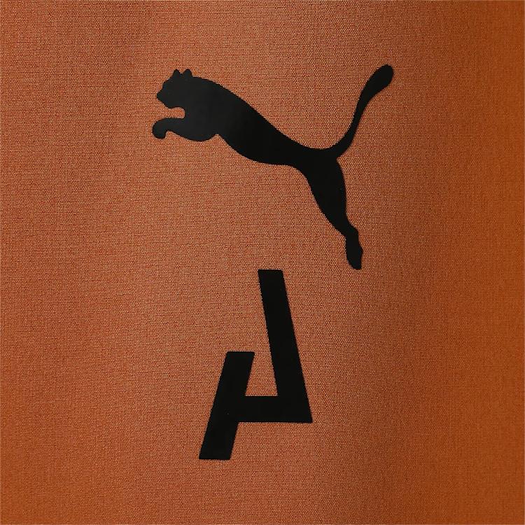 Puma Solid Color Multi-Pocket Zipper Straight Leg Casual Pants Men Bottoms Brown 522575-74