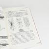 Huawei Data Communication Fundamentals: Wireless, SD-WAN, Router Technologies
