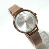 Used [New] SKAGEN SKW2151 mesh band