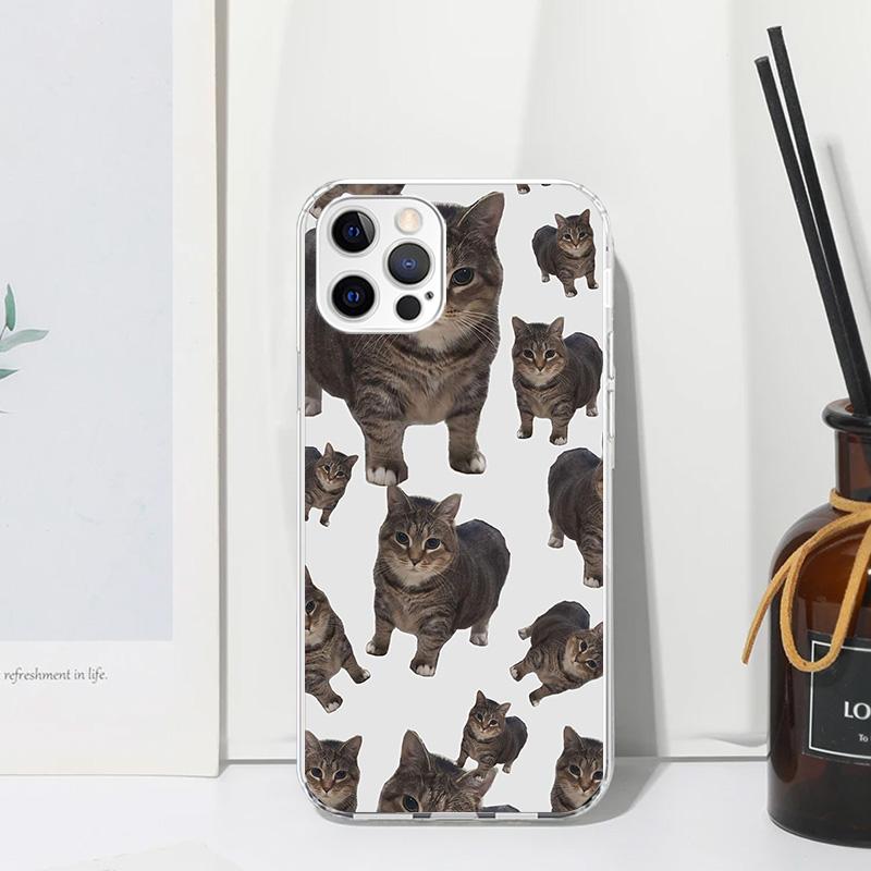 Crying Cat Memes Phone Case For Iphone 17 Air 16 15 Plus 16E 14 Pro Max 13 Mini 12 11 7 8 SE Fundas Soft Back Cover 17 Air 16 15