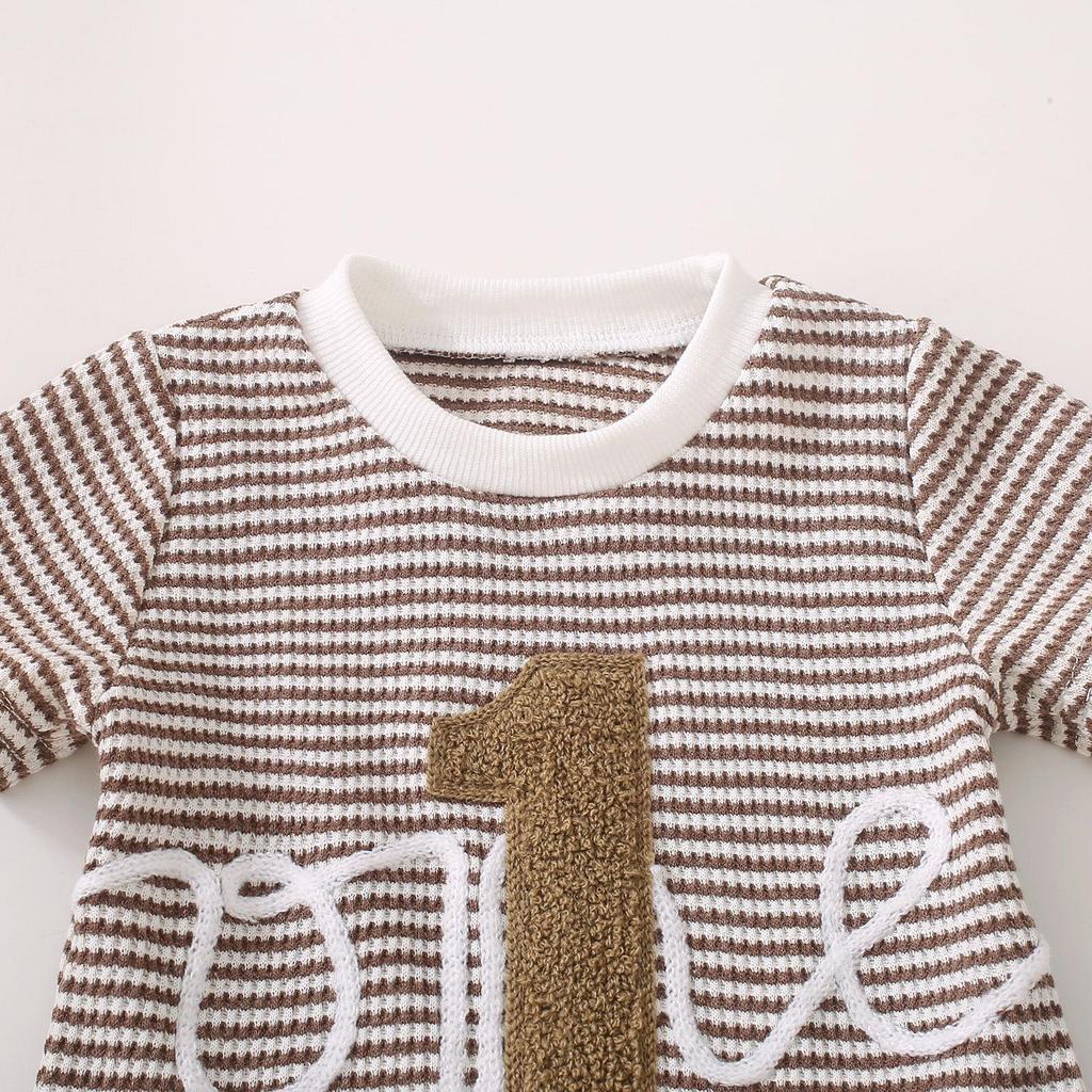 Unisex Baby & Toddler Waffle Stripe Embroidered T-Shirt + Shorts Set 