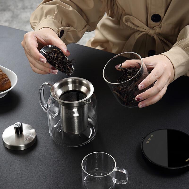 Shangming Handmade Heat-Resistant Glass Teapot Set with Infuser