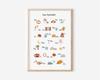 Nordisches Retro Alphabet Zahlen Poster und Drucke Kinderzimmer Dekoration Cartoon Tier Pflanze Werkzeug Wandkunst Leinwandbild