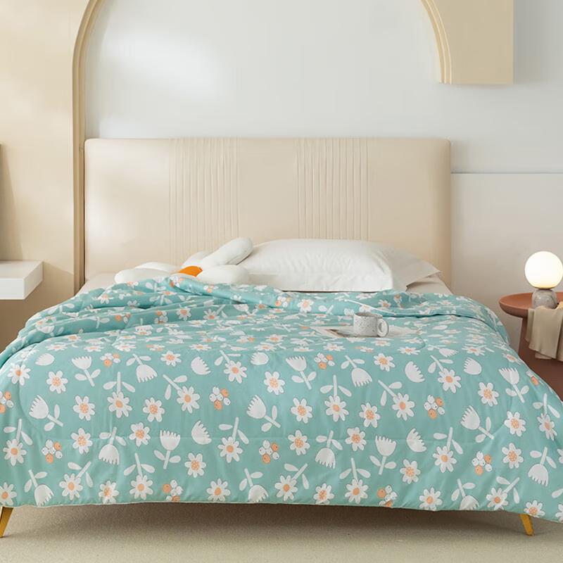 

Louis Carol Cooling Mint Quilt