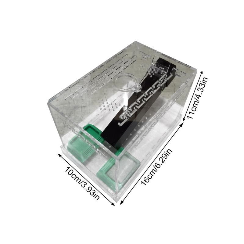 Spacious Cricket Keeper Enclosure Large Capacity With Feeding Tubs And Hide Tube