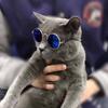 Funny Fashion Decoration Lovely Reflection For Small Dog Cat Photos Props Pet Glasses Eye Wear Sunglasses