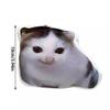 With Sound Cat Voice Keychain Cat Voice Doll  Children's Toy Schoolbag Pendant Decoration