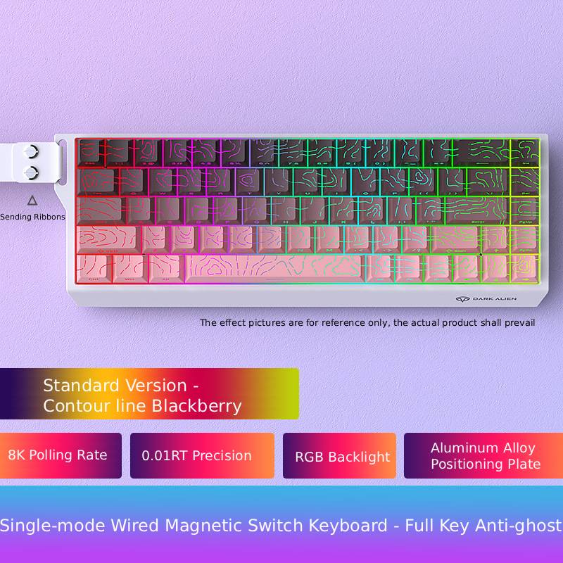 Low Noise USB Wired Keyboard 8K Return Hot Swap 0.01mm RT Custom RGB 65% Layout Size E-Sports Mechanical Gaming Keyboard