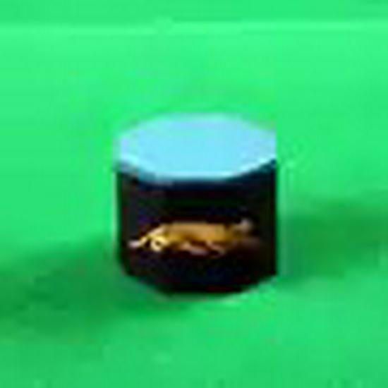 Jaguar 1080 Blue Chocolate Oil Billiard & Snooker Cue Chalk Powder