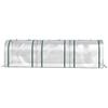 295  X 100 Cm Low Tunnel Greenhouse - Clear