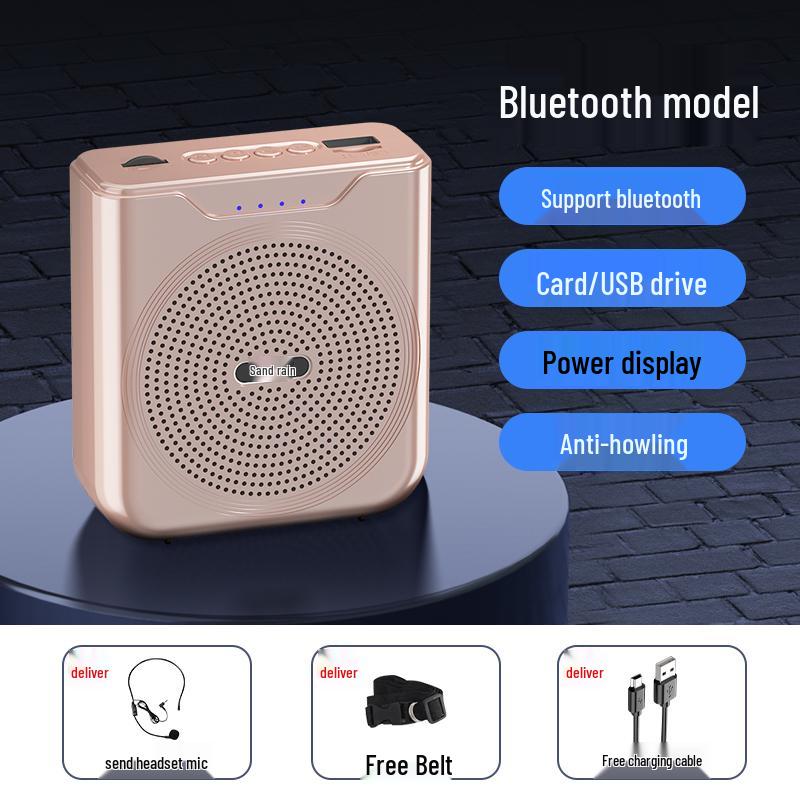 BeeSpeaker: Wireless Bluetooth Microphone for Teachers, Tour Guides, Lecturers - Classroom & Lecture Audio Amplifier