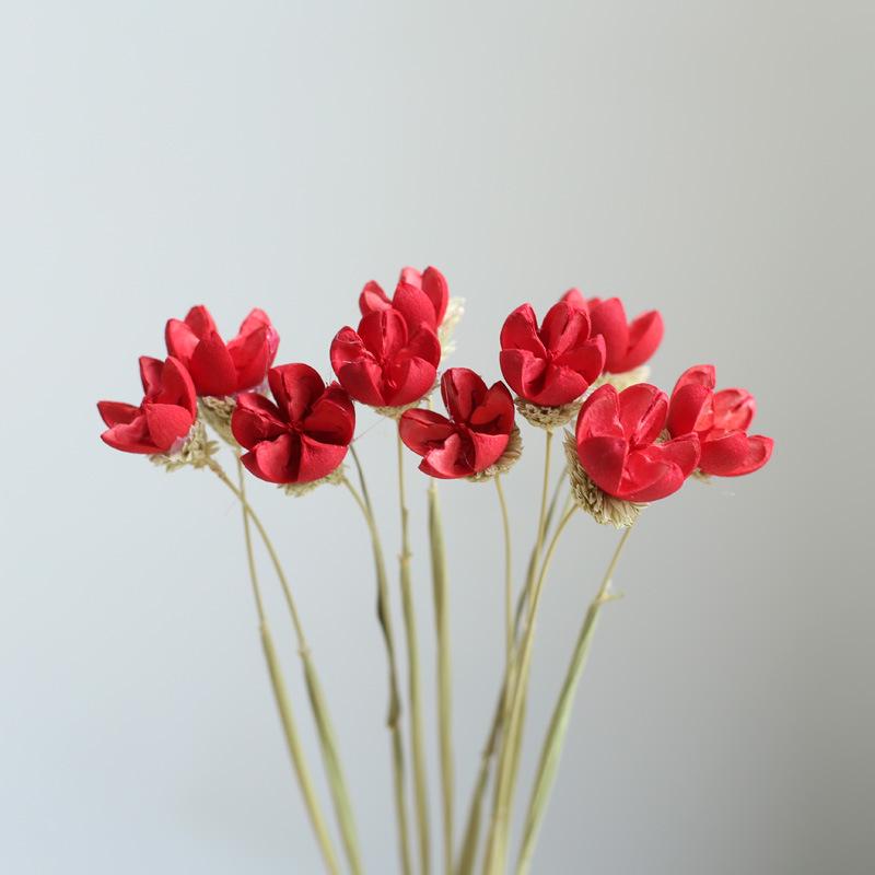 Yunnan Dried & Immortal Flowers Bouquet: Baby's Breath, Roses, Forget-Me-Nots for Home & Homestay Decor