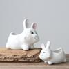 Japanese-Style Groceries New Gardening Flower Pots, Creative Office Desktop Potted Plants White Succulent Flower Pots Ceramic