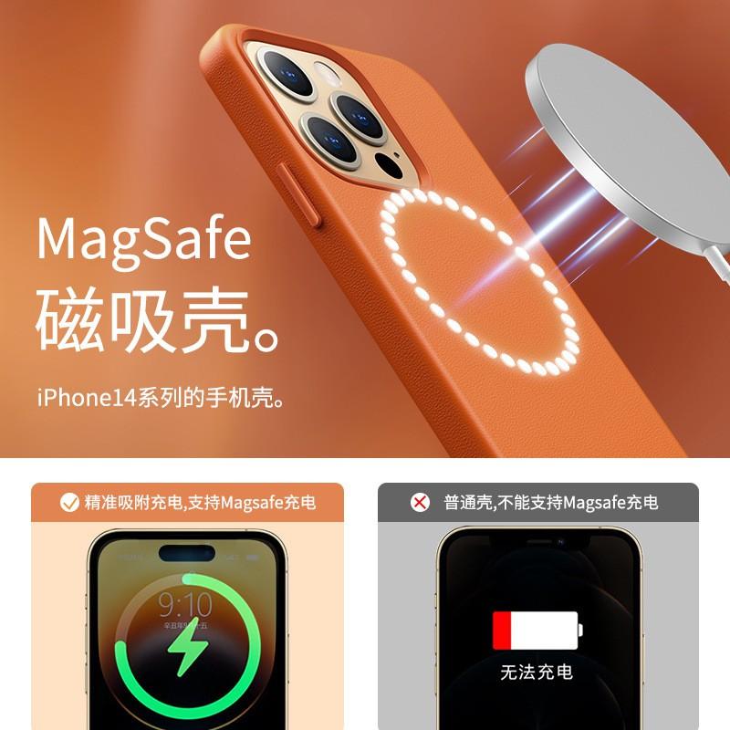 Leather Magnetic Phone Case With Animation IPhone 14 Pro 13 Full Body Protection