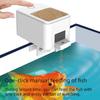 Distributeur automatique intelligent Wi-Fi pour poissons rouges, grande capacité de 100 ml, contrôle par application, enregistrement des repas, rappels