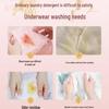 Newcomer Discount: Anti-Mold & Bacteria Inhibiting Laundry Detergent for Underwear & Panties
