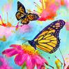Diy 5D Diamond Painting Butterfly Flower Diamond Embroidery Cross Stitch Kit Mosaic Picture Home Decoration New Year Gift