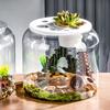 Transparenter Schildkröten-Aquarium-Schildkröten-Behälter mit abnehmbarem Deckel Schreibtisch-Dekoratives Terrarium-Behälter DIY Mikro-Landschafts-Fischbecken