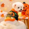 Halloween Theme Pet Sweater For Small Dog and Cats With Elastic Neck Warm Winter Knitwear Outfit Festival Cerebration