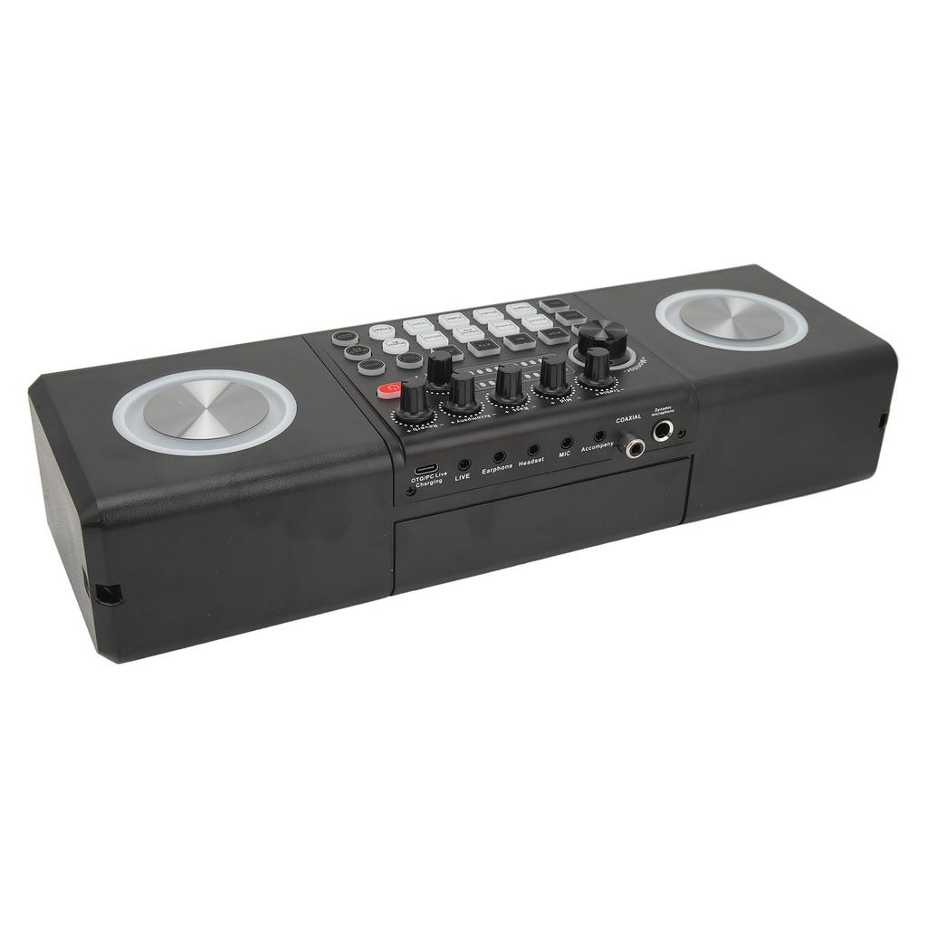 Karaoke Machine with 2 Microphones Portable Bluetooth Outdoor Sound Card Speaker Karaoke Machine Set for Home Party