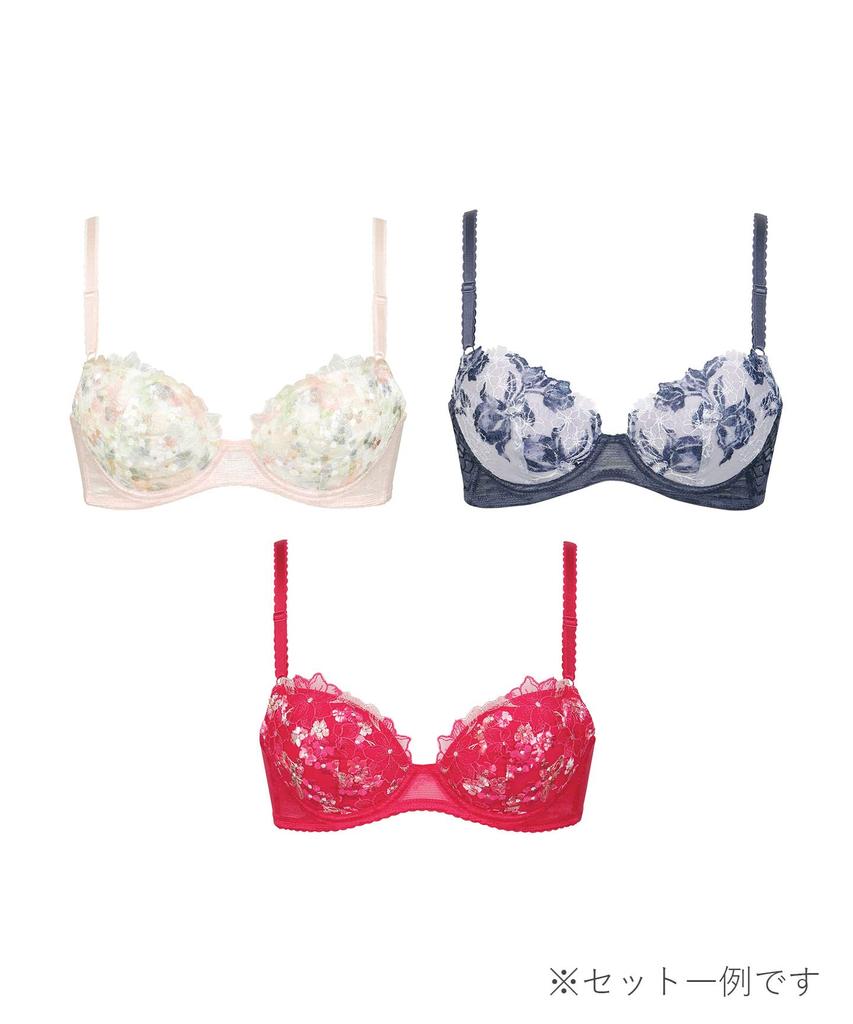 Bras Set of E65 Wing/Wacoal (Lucky Bag) 3, KB9850, Multicolor,