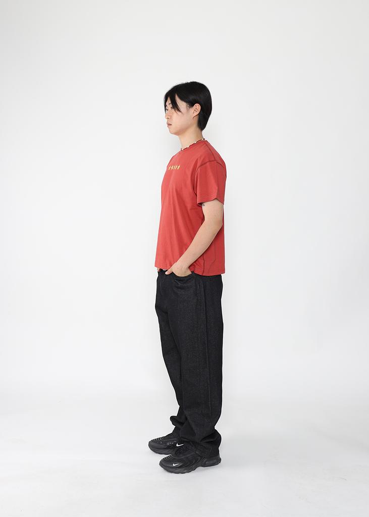 DOTON Staring Crop T-Shirts(Brick Red)