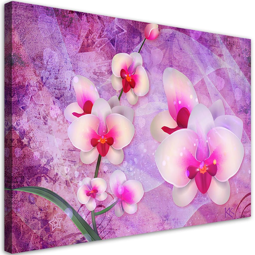 Canvas Print, Orchid Flowers Abstraction